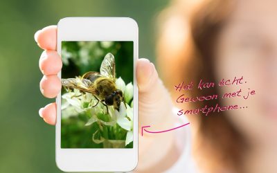 6 tips voor het maken van foto’s met je smartphone